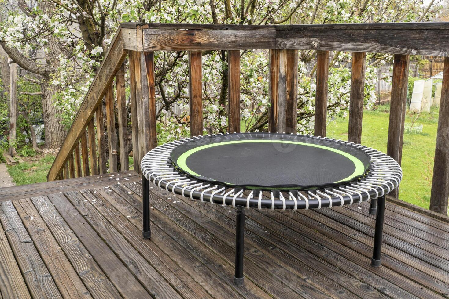 mini trampoline for fitness exercising and rebounding in a backyard patio, springtime scenery photo