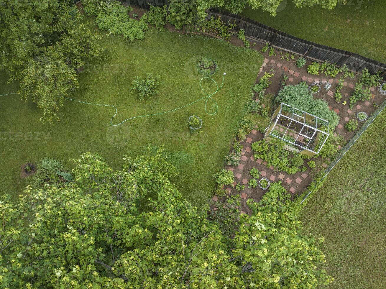 aerial view of a green backyard and garden in springtime scenery photo