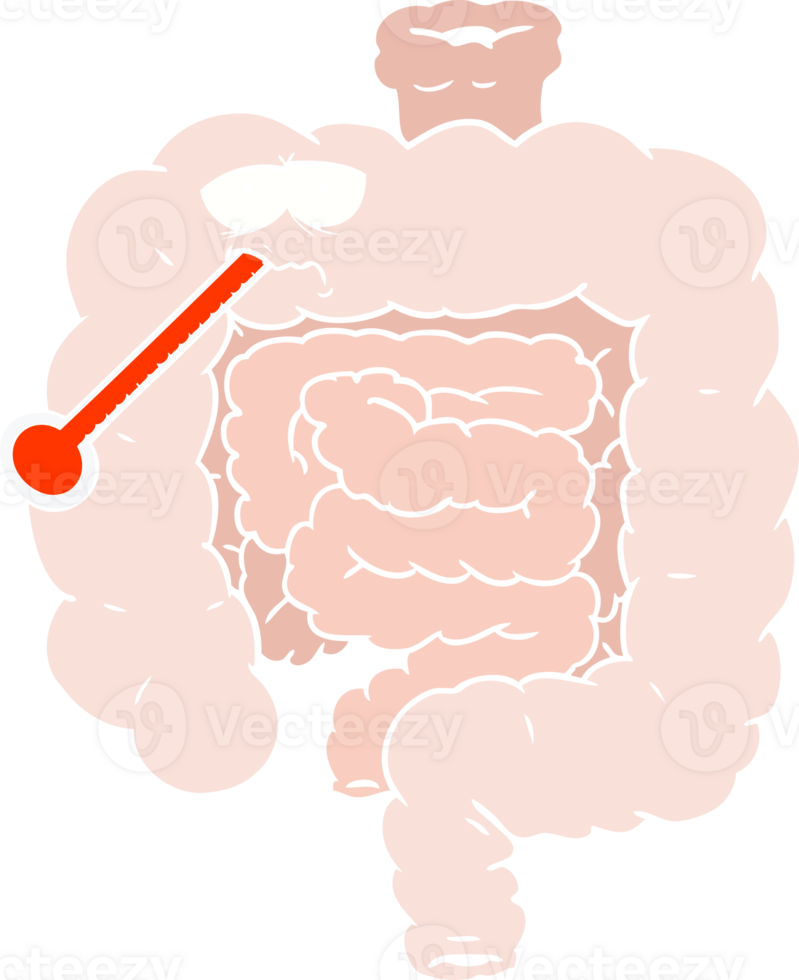 flat color style cartoon unhealthy intestines png