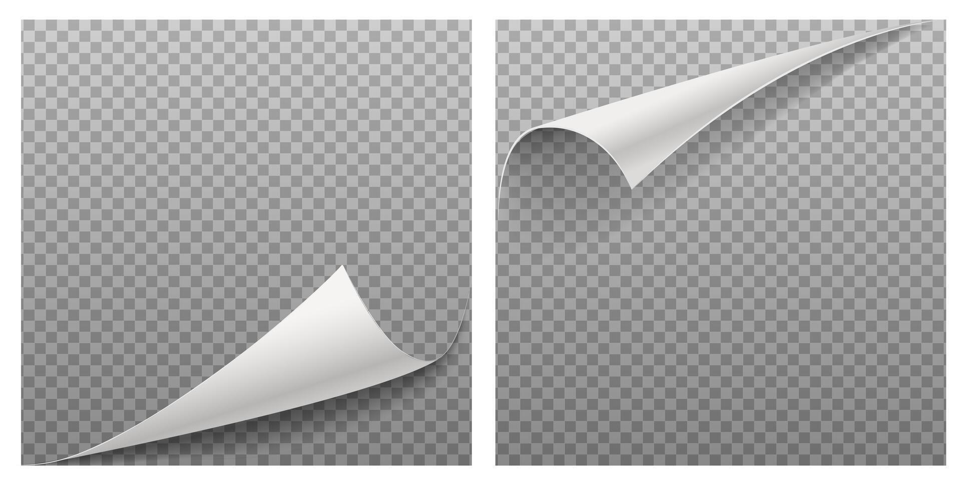3d realistic vector illustration. Curled paper page corners on background with shadow