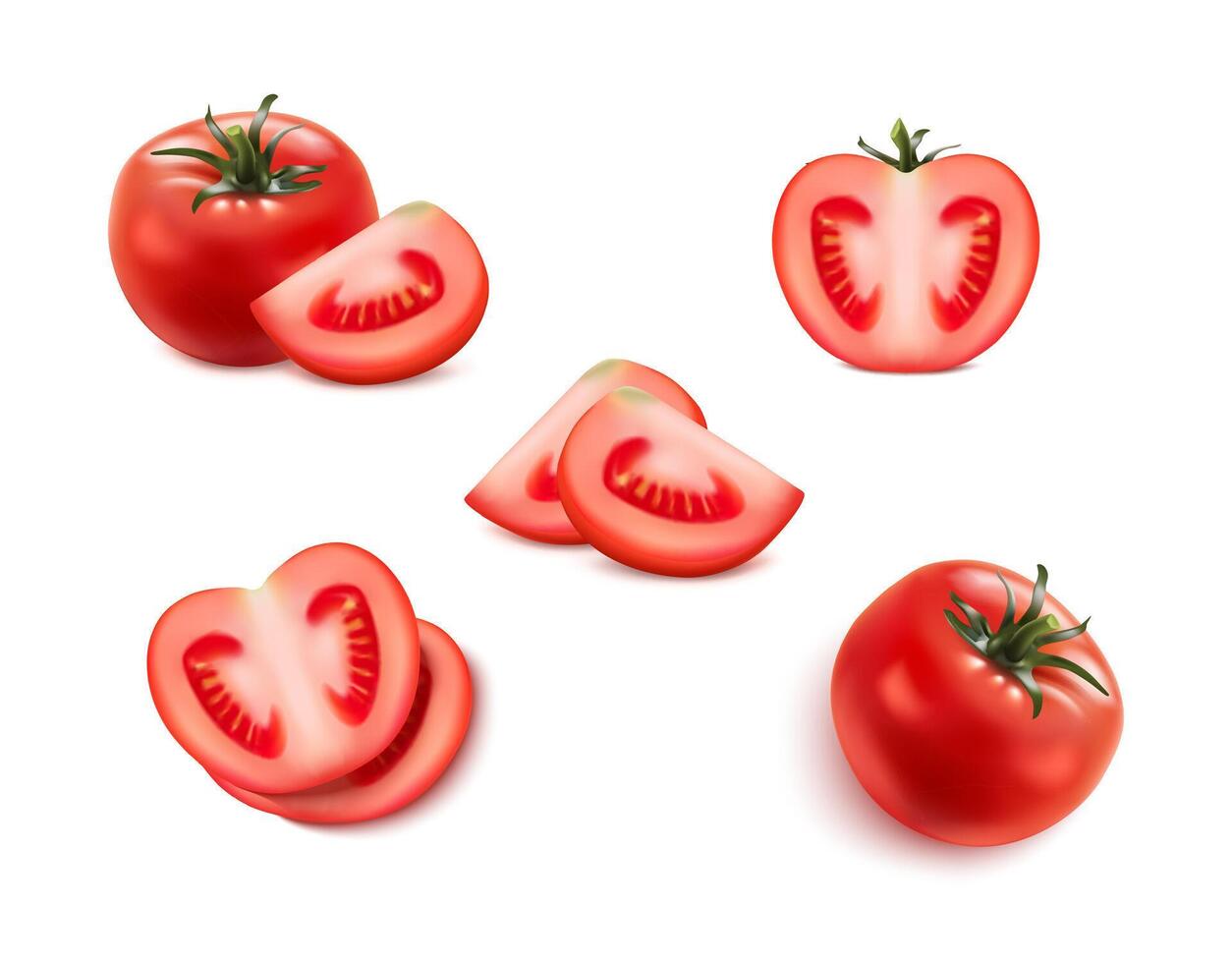 Set of red tomatoes, cut and whole vector