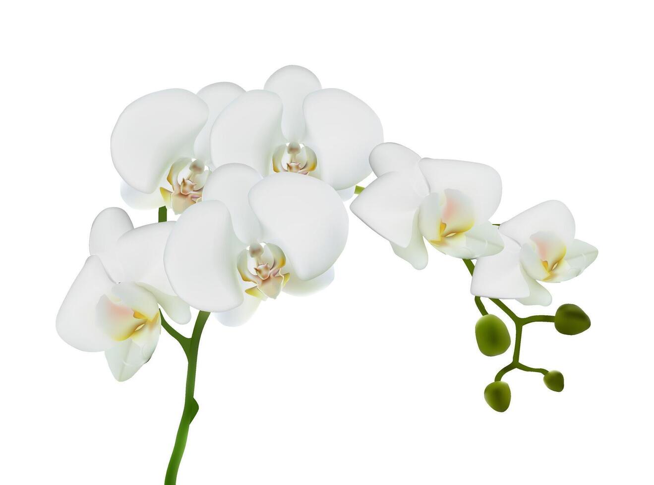 3d realistic vector icon. White orchid flower branch. Isolated on white background.