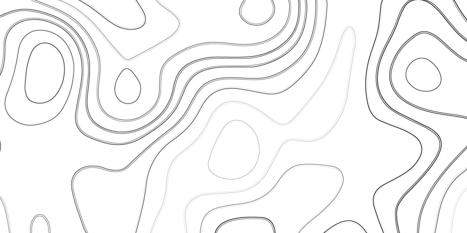 abstract pattern with lines. Background of the topographic map. vector