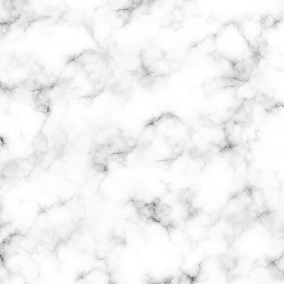 White marble pattern texture for the background. Abstract black scratch on white surface vector