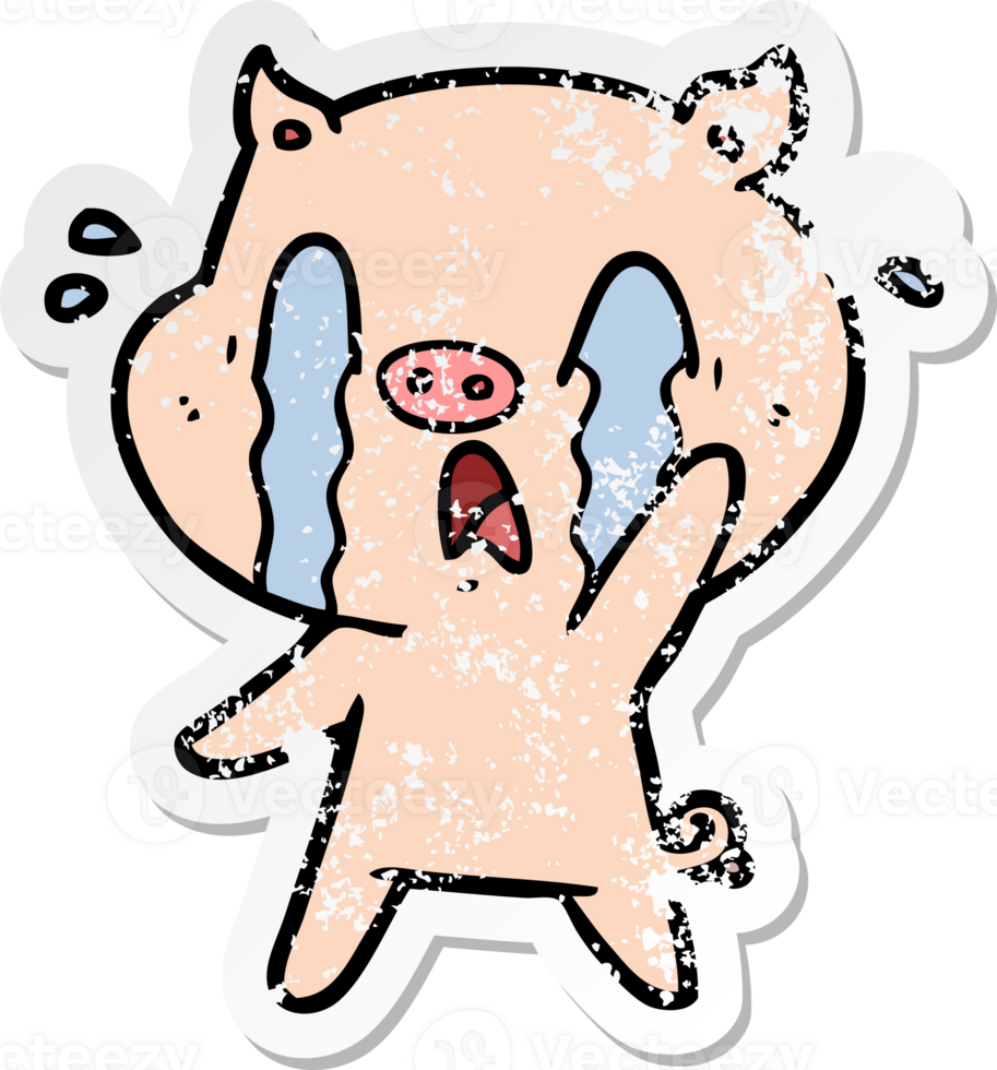 distressed sticker of a crying pig cartoon png