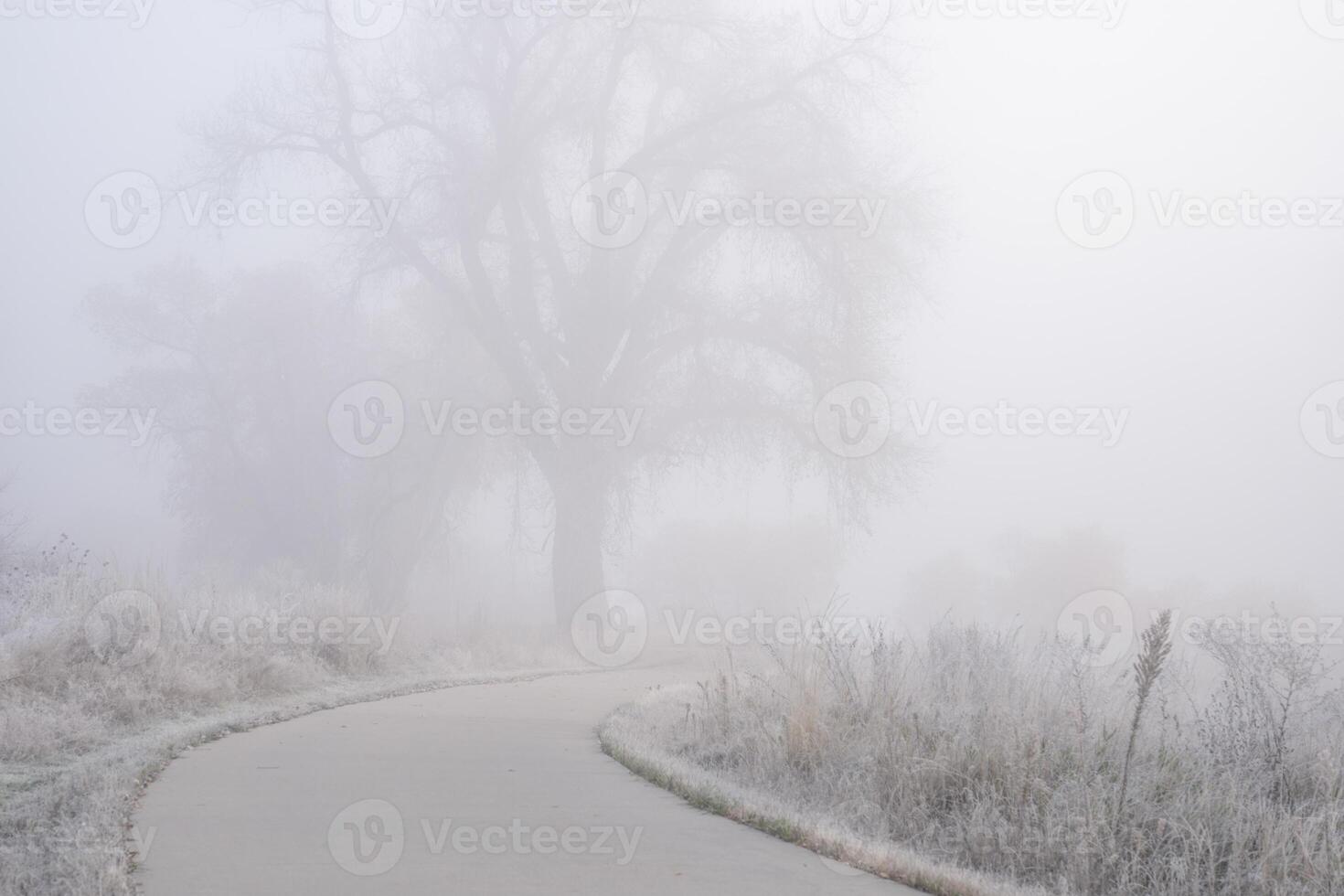 northern Colorado bike trail in fog - November morning on the Poudre River Trail near WIndsor photo