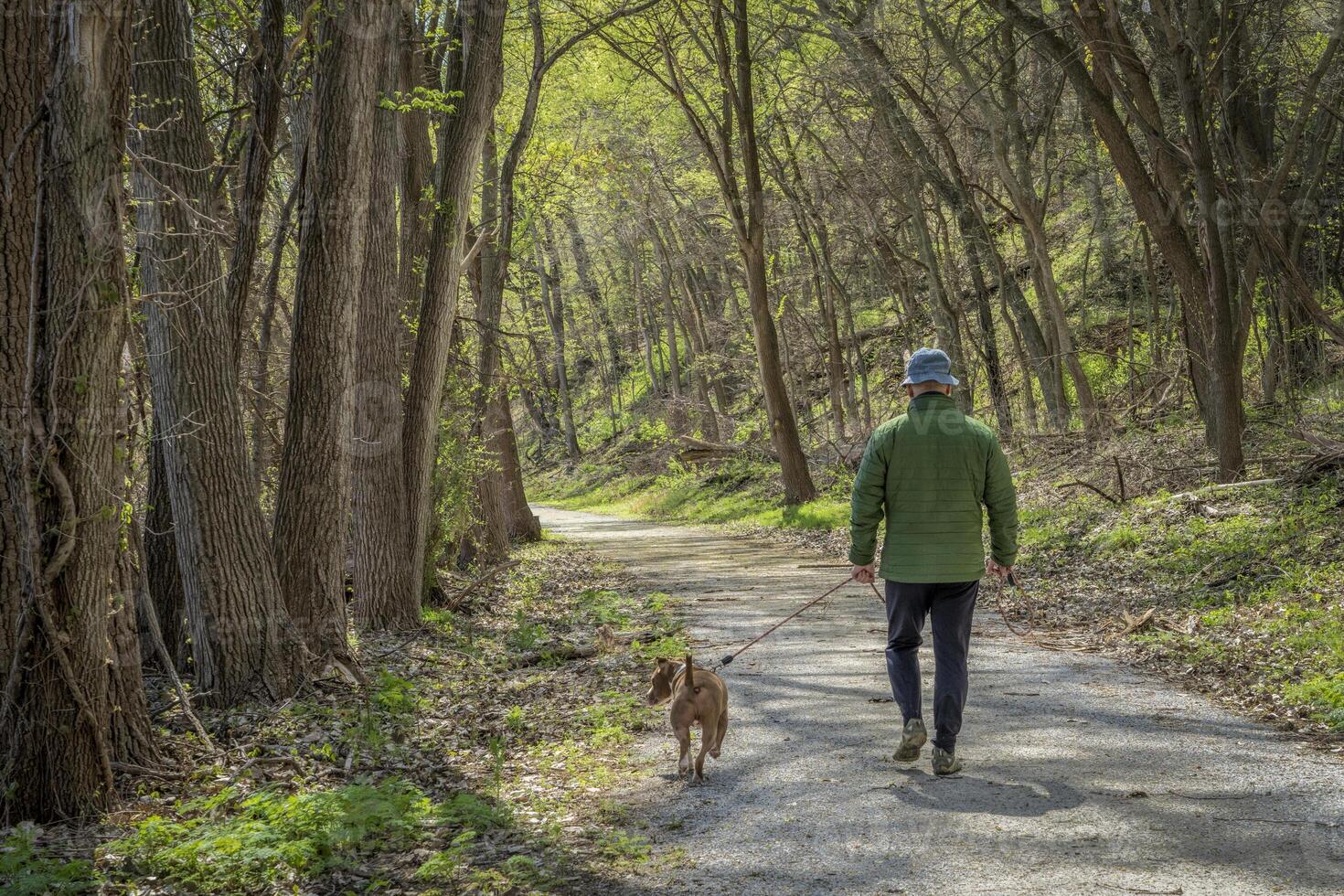 senior man walking with a dog in a forest - Steamboat Trace Trail near Peru, Nebraska photo