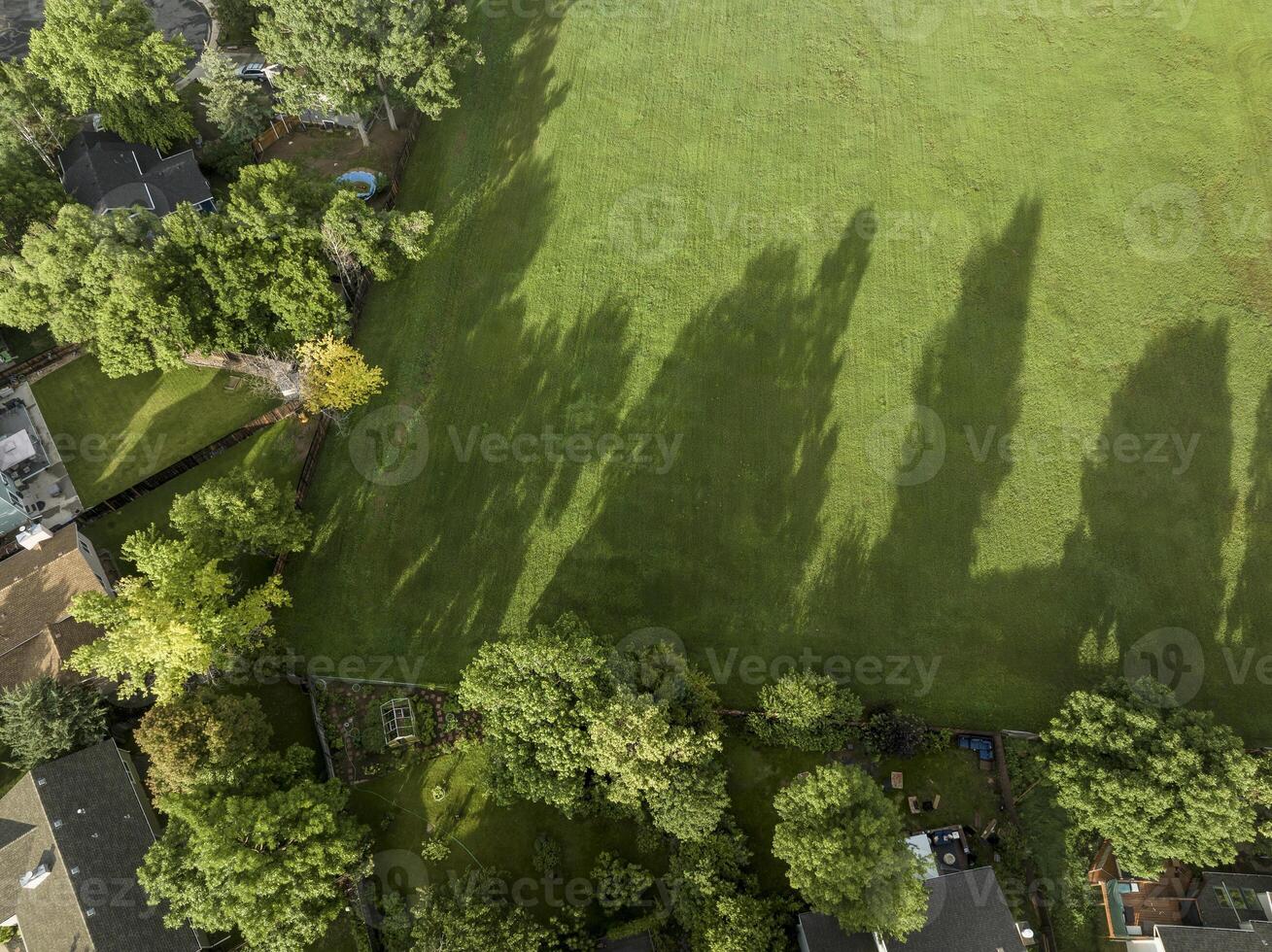 green field with tree shadows and residential houses - aerial view photo