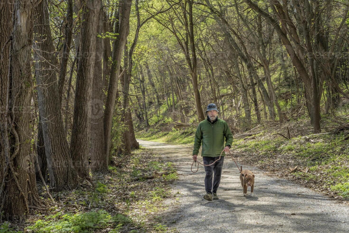 senior man walking with a dog in a forest - Steamboat Trace Trail near Peru, Nebraska photo