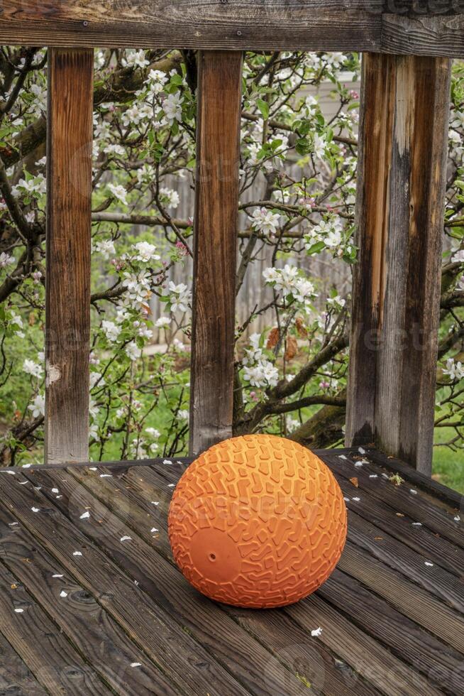 heavy slam ball filled with sand on a backyard deck, exercise and functional fitness concept photo