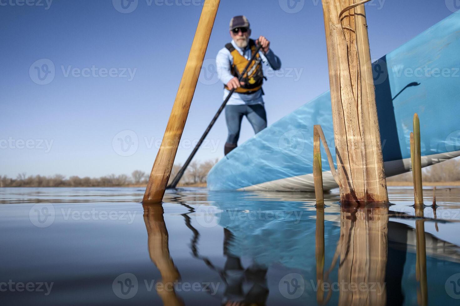 reeds on a calm lake in spring with an out of focus stand up paddler, frog perspective from an action camera at water level photo