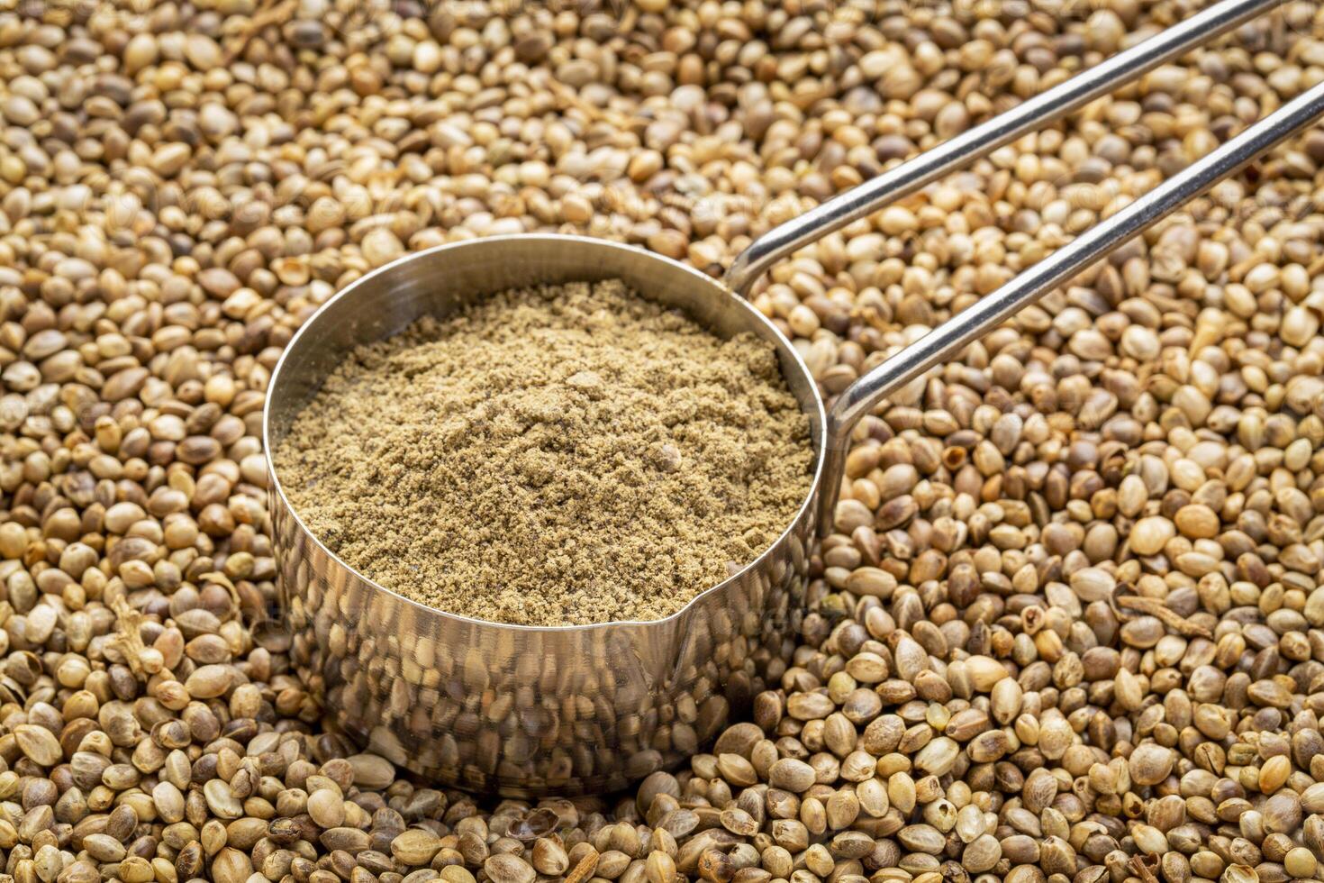 hemp protein powder in a metal measuring scoop against dry hemp seed background photo