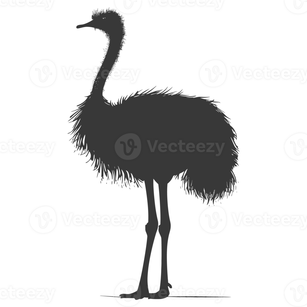 AI generated Silhouette ostrich animal black color only full body png