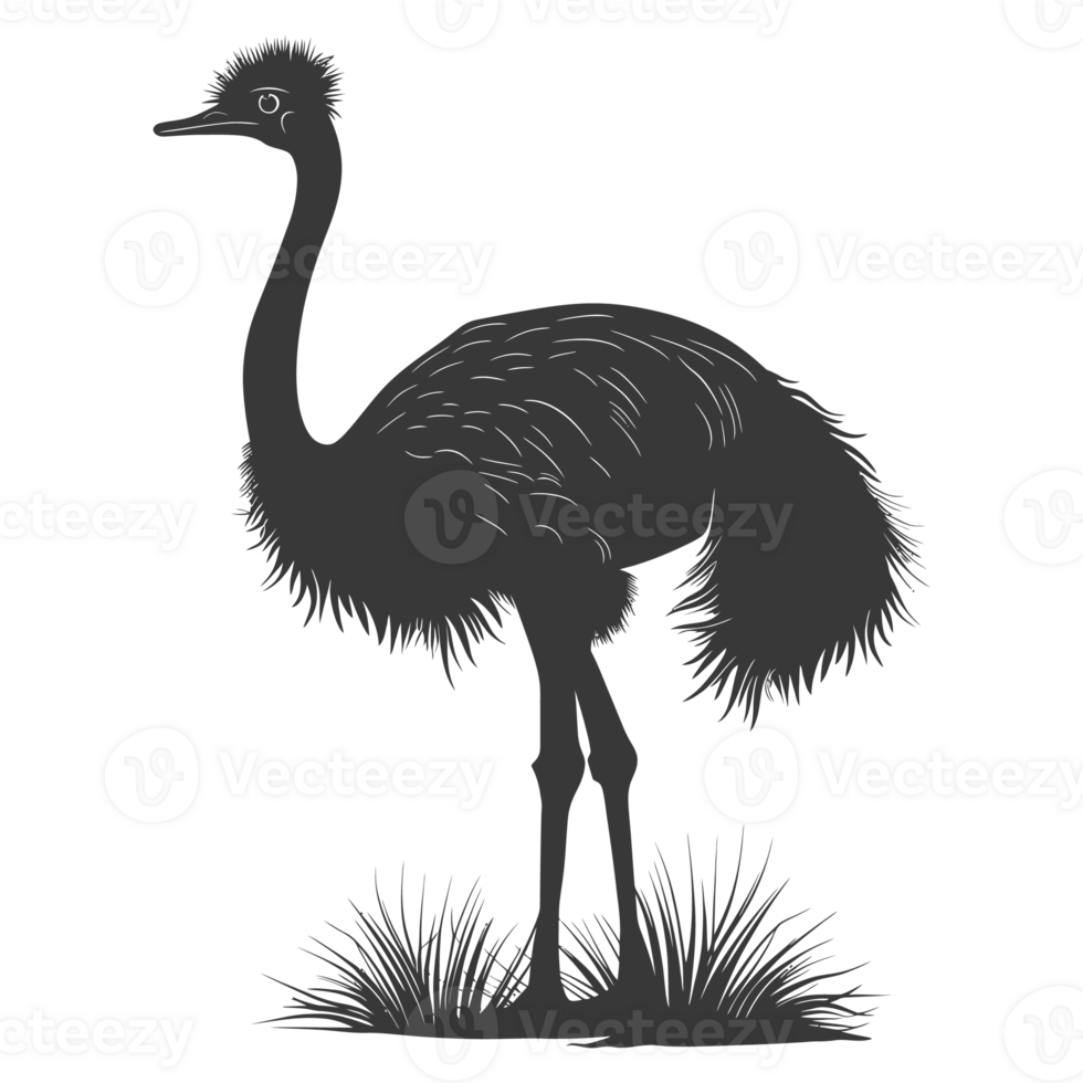 AI generated Silhouette ostrich animal black color only full body png