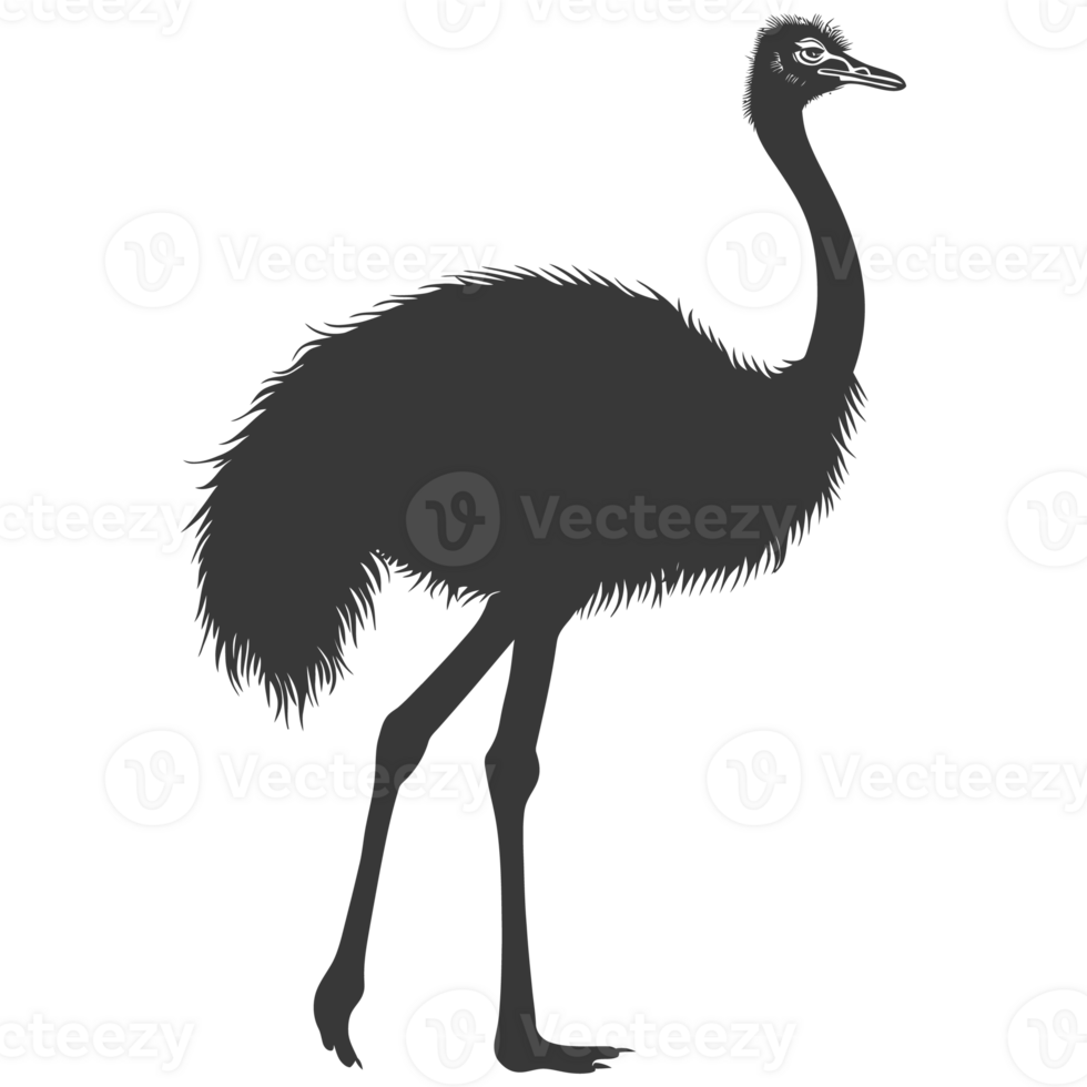 AI generated Silhouette ostrich animal black color only full body png