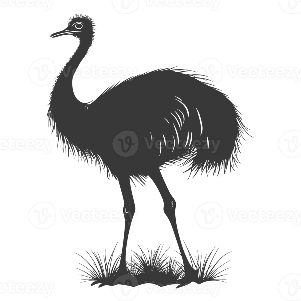 AI generated Silhouette ostrich animal black color only full body png