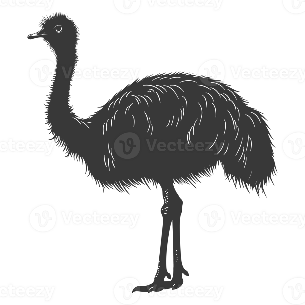AI generated Silhouette ostrich animal black color only full body png