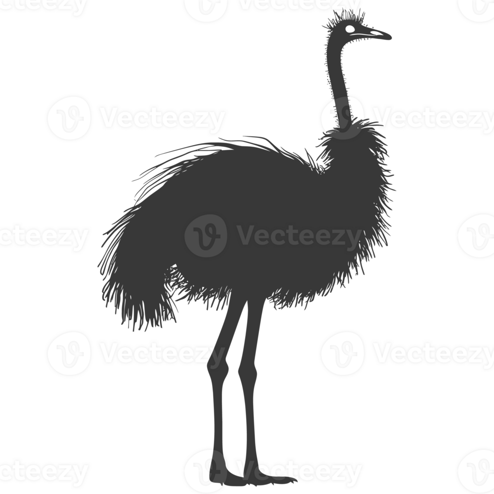 AI generated Silhouette ostrich animal black color only full body png