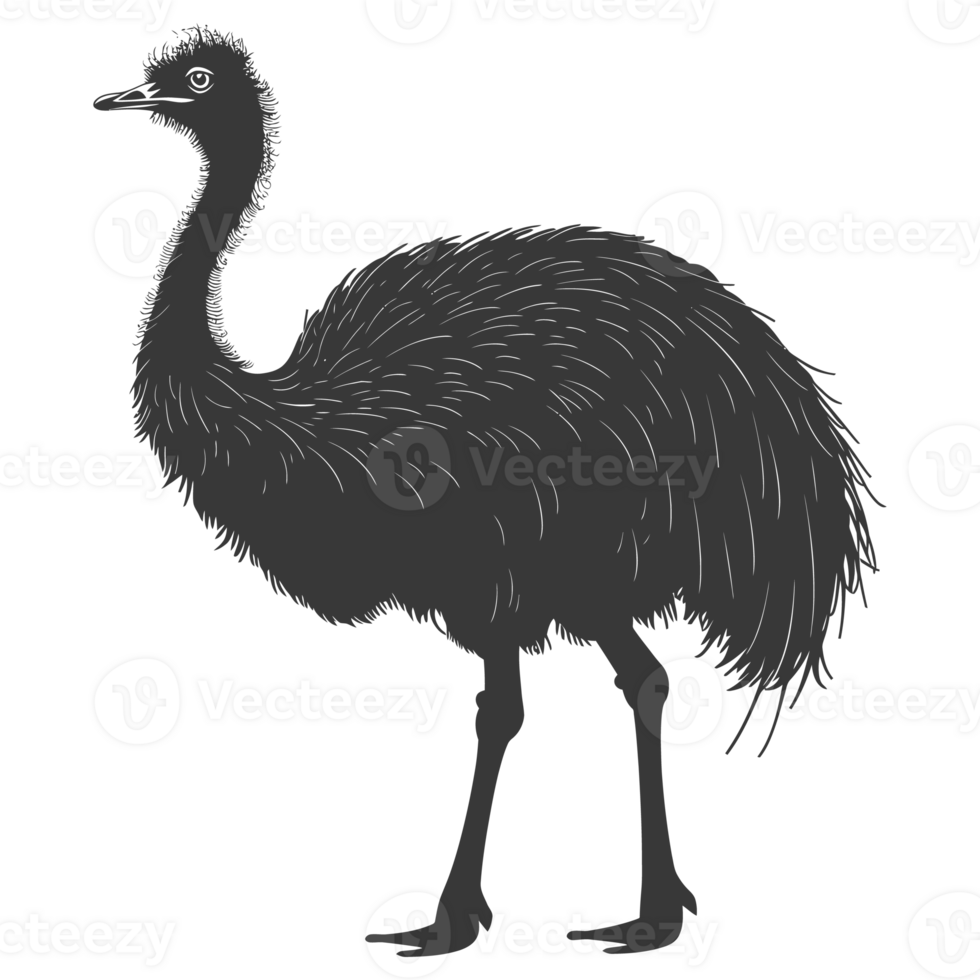 AI generated Silhouette ostrich animal black color only full body png