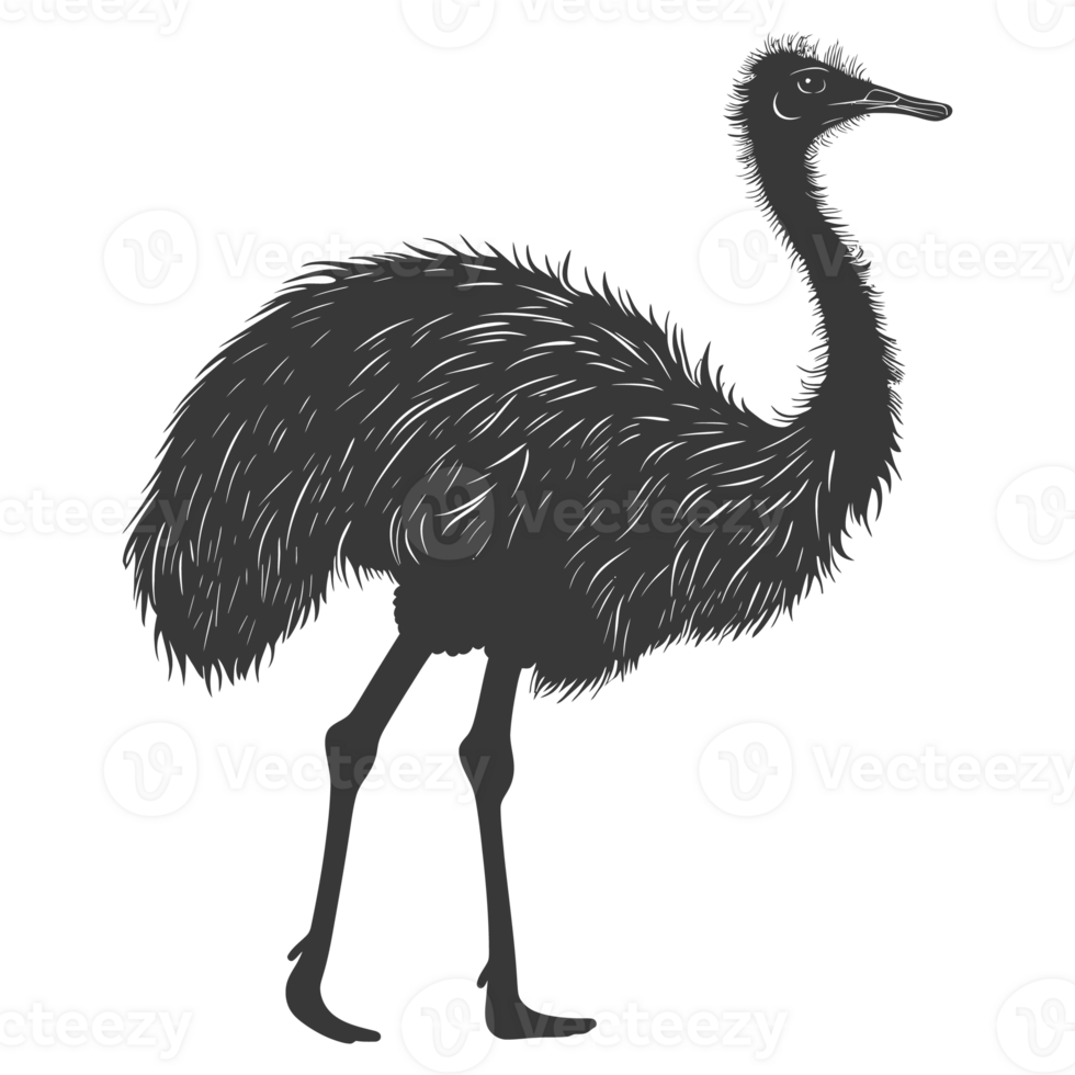 AI generated Silhouette ostrich animal black color only full body png