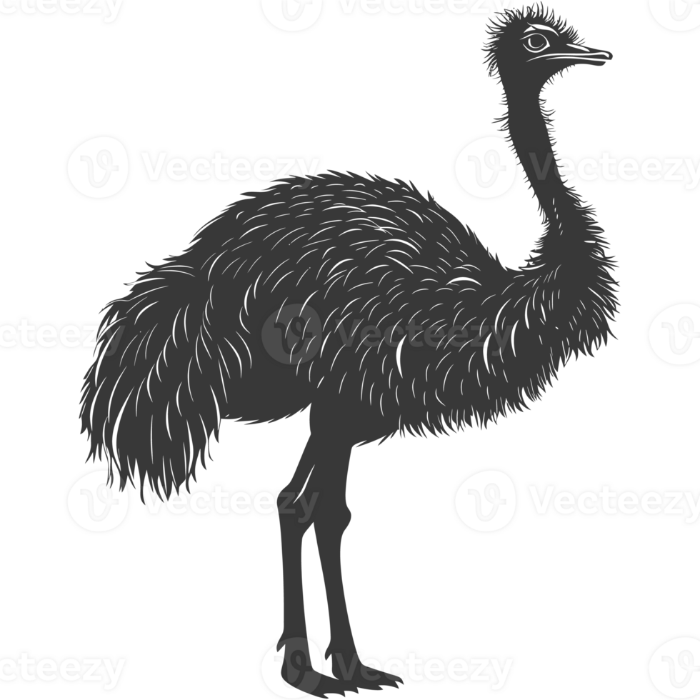 AI generated Silhouette ostrich animal black color only full body png
