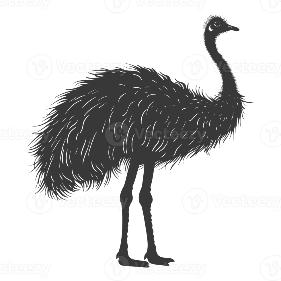 AI generated Silhouette ostrich animal black color only full body png