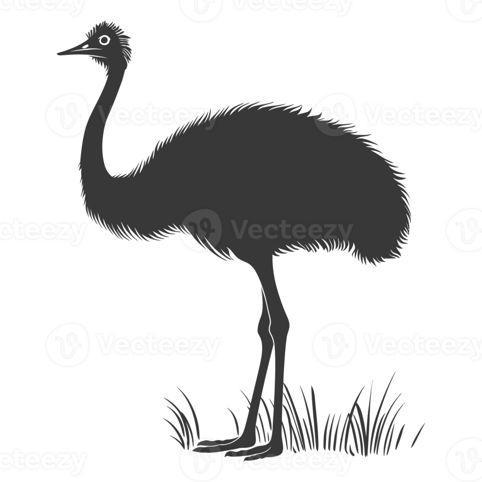 AI generated Silhouette ostrich animal black color only full body png