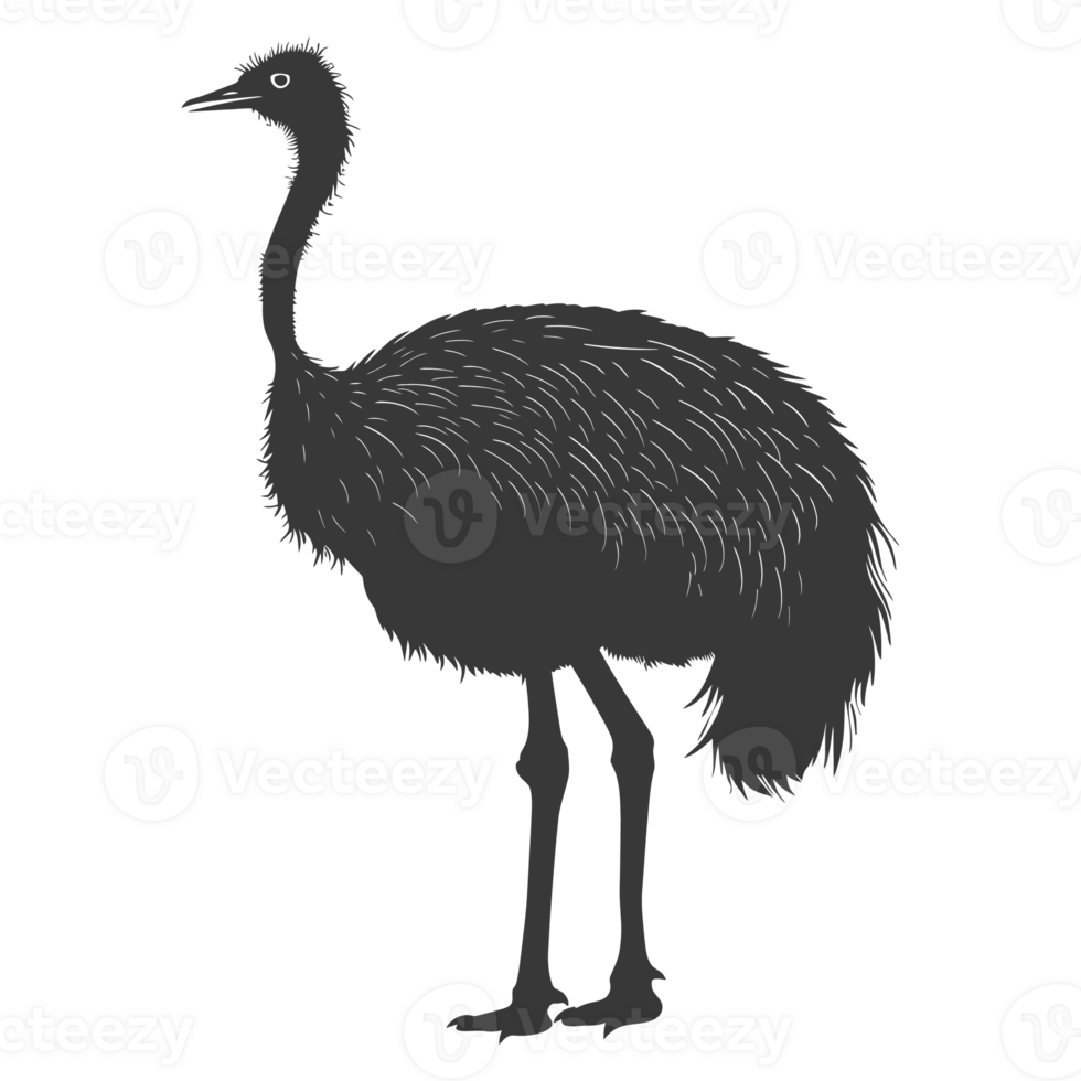 AI generated Silhouette ostrich animal black color only full body png