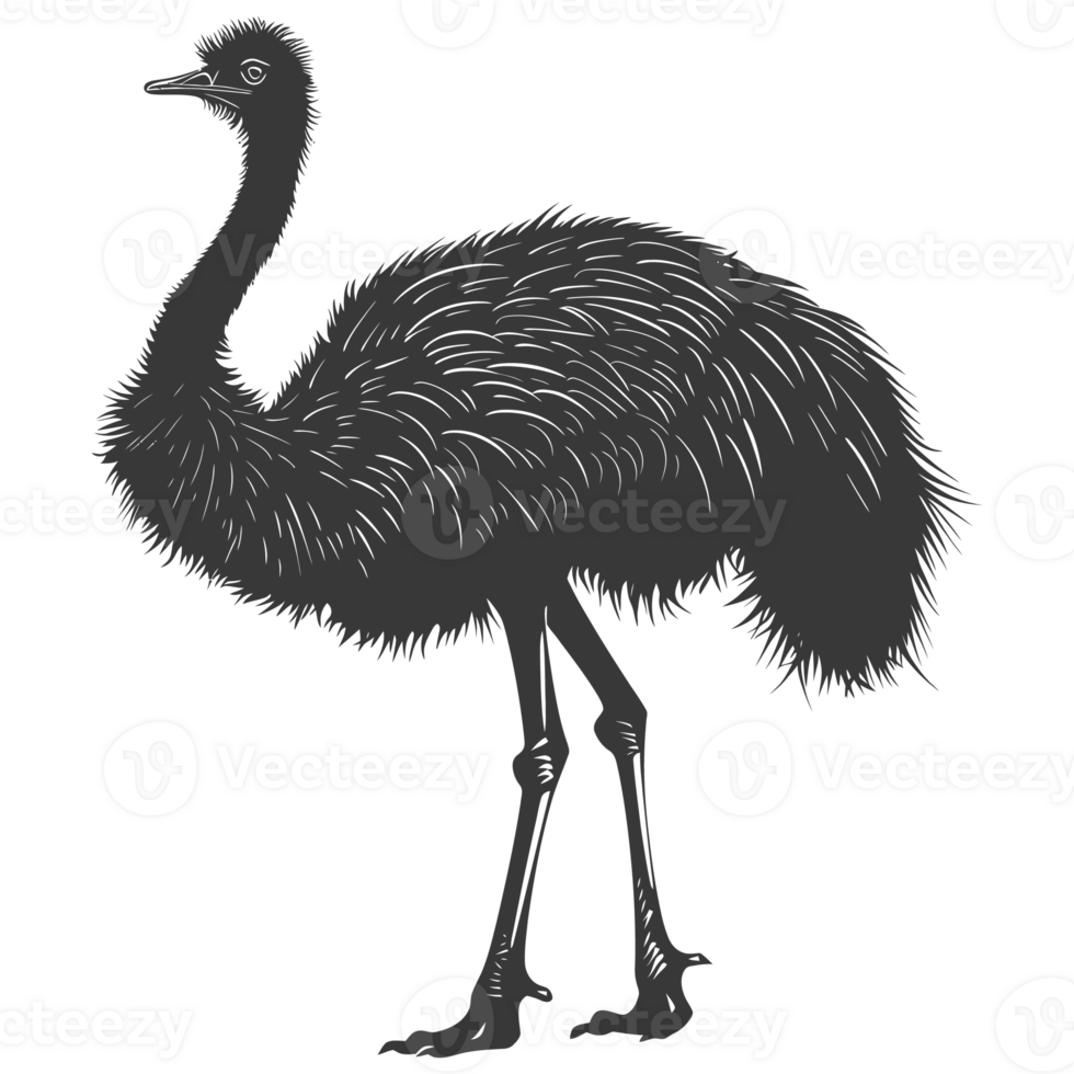 AI generated Silhouette ostrich animal black color only full body png