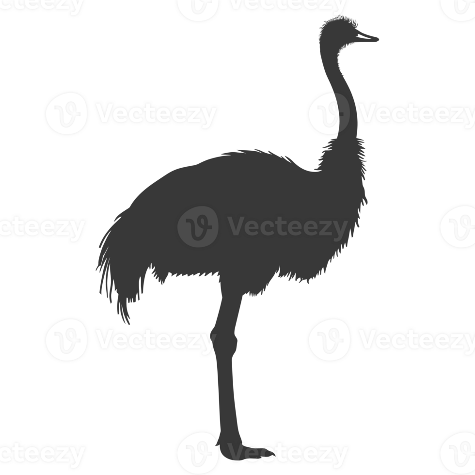 AI generated Silhouette ostrich animal black color only full body png