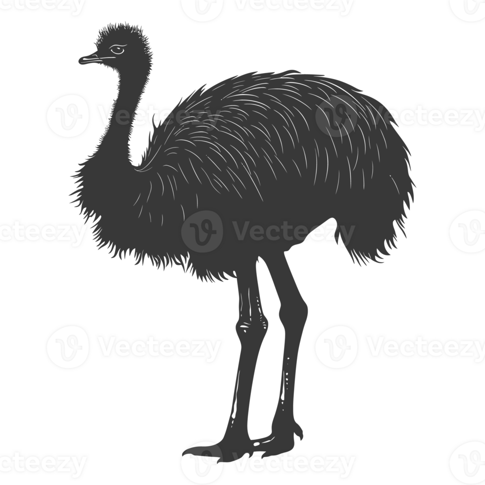 AI generated Silhouette ostrich animal black color only full body png