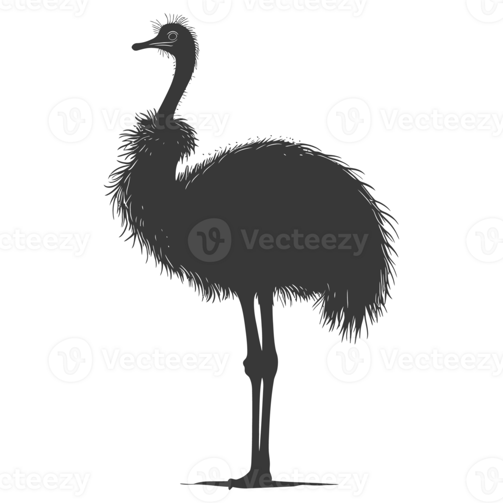 AI generated Silhouette ostrich animal black color only full body png