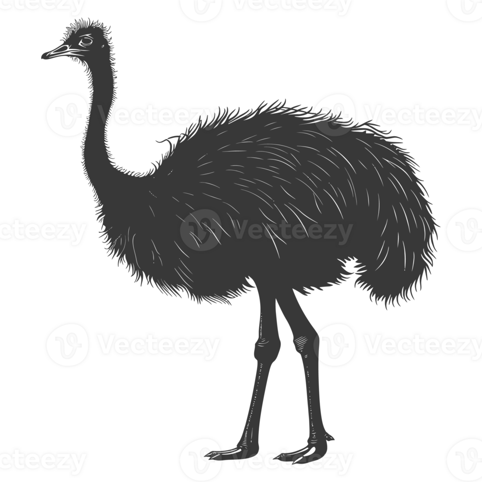 AI generated Silhouette ostrich animal black color only full body png