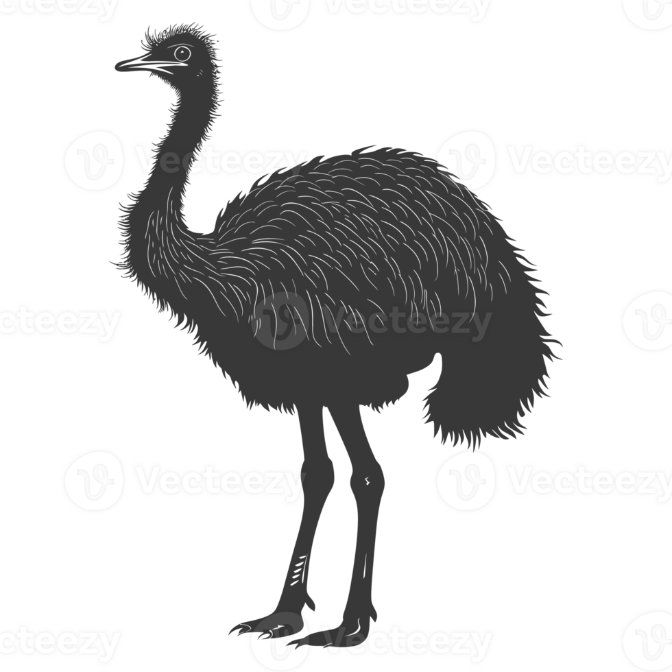 AI generated Silhouette ostrich animal black color only full body png