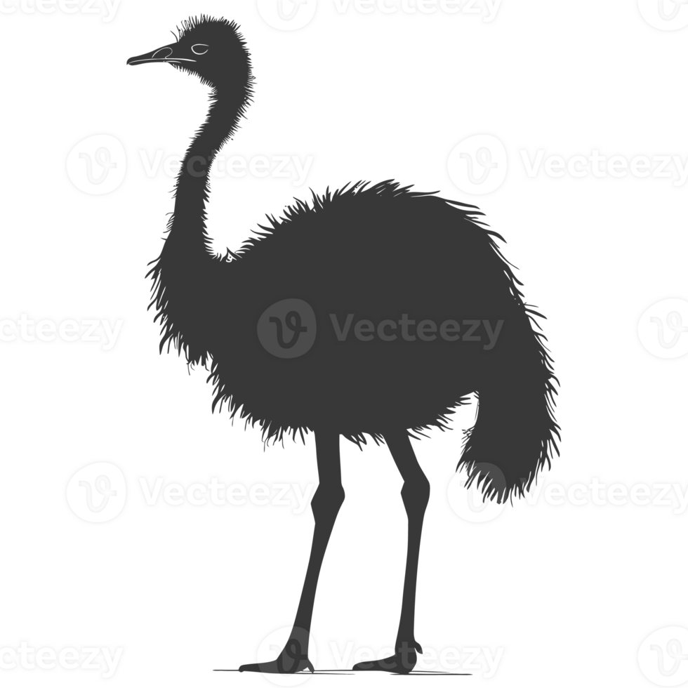 AI generated Silhouette ostrich animal black color only full body png