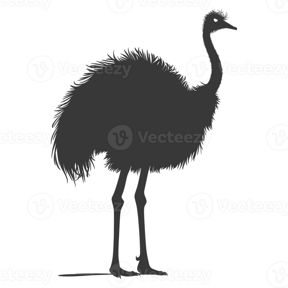AI generated Silhouette ostrich animal black color only full body png