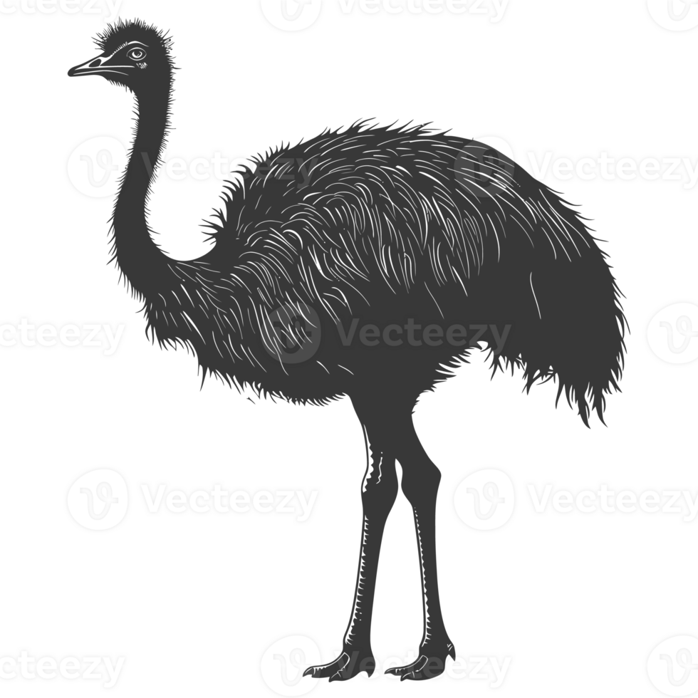 AI generated Silhouette ostrich animal black color only full body png
