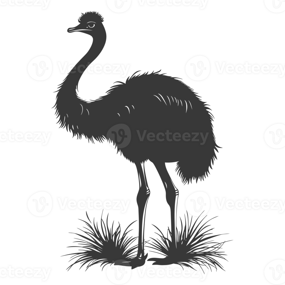 AI generated Silhouette ostrich animal black color only full body png