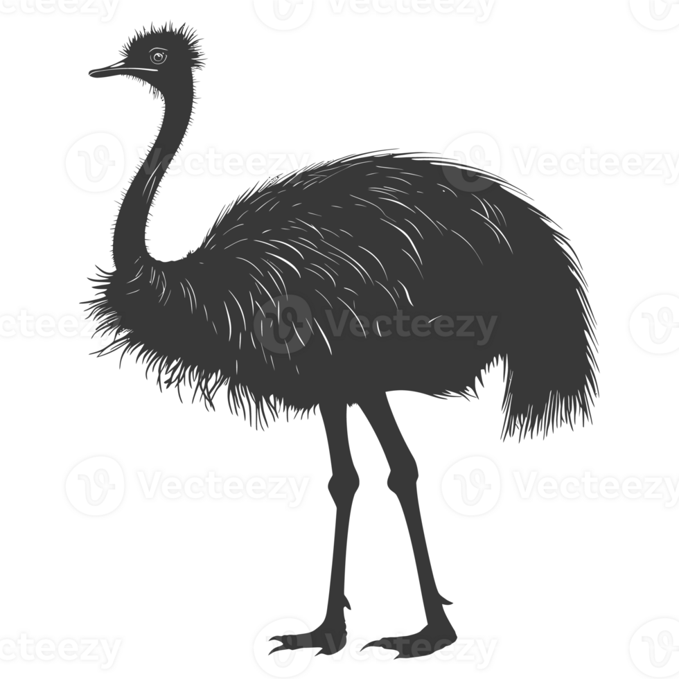 AI generated Silhouette ostrich animal black color only full body png