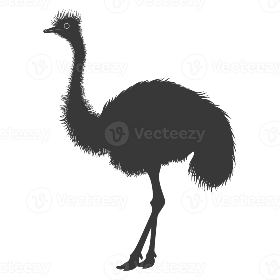 AI generated Silhouette ostrich animal black color only full body png