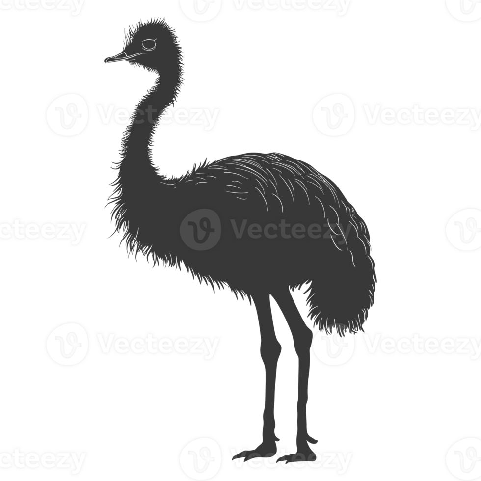 AI generated Silhouette ostrich animal black color only full body png