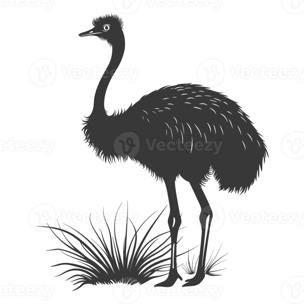 AI generated Silhouette ostrich animal black color only full body png