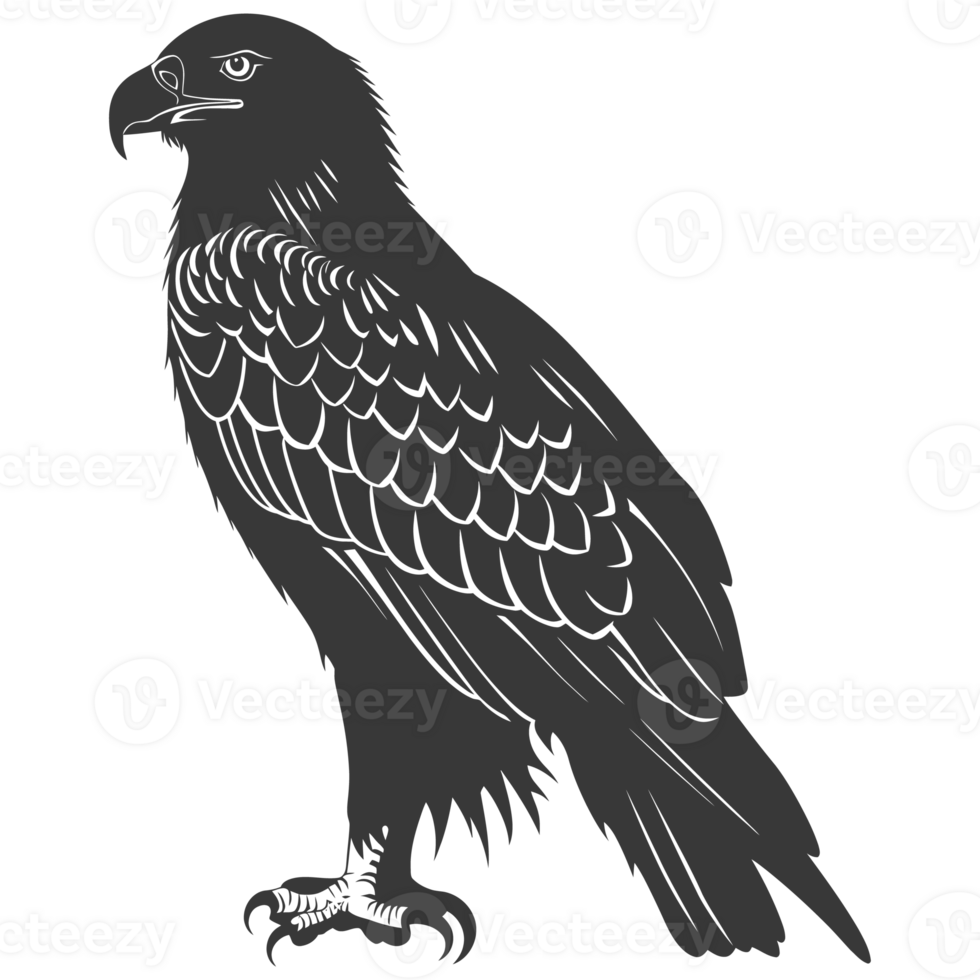 AI generated Silhouette eagle animal black color only full body png