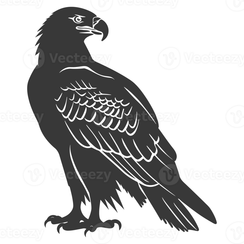 AI generated Silhouette eagle animal black color only full body png