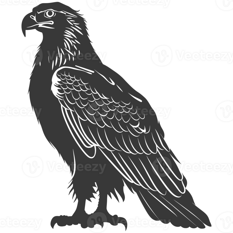 AI generated Silhouette eagle animal black color only full body png