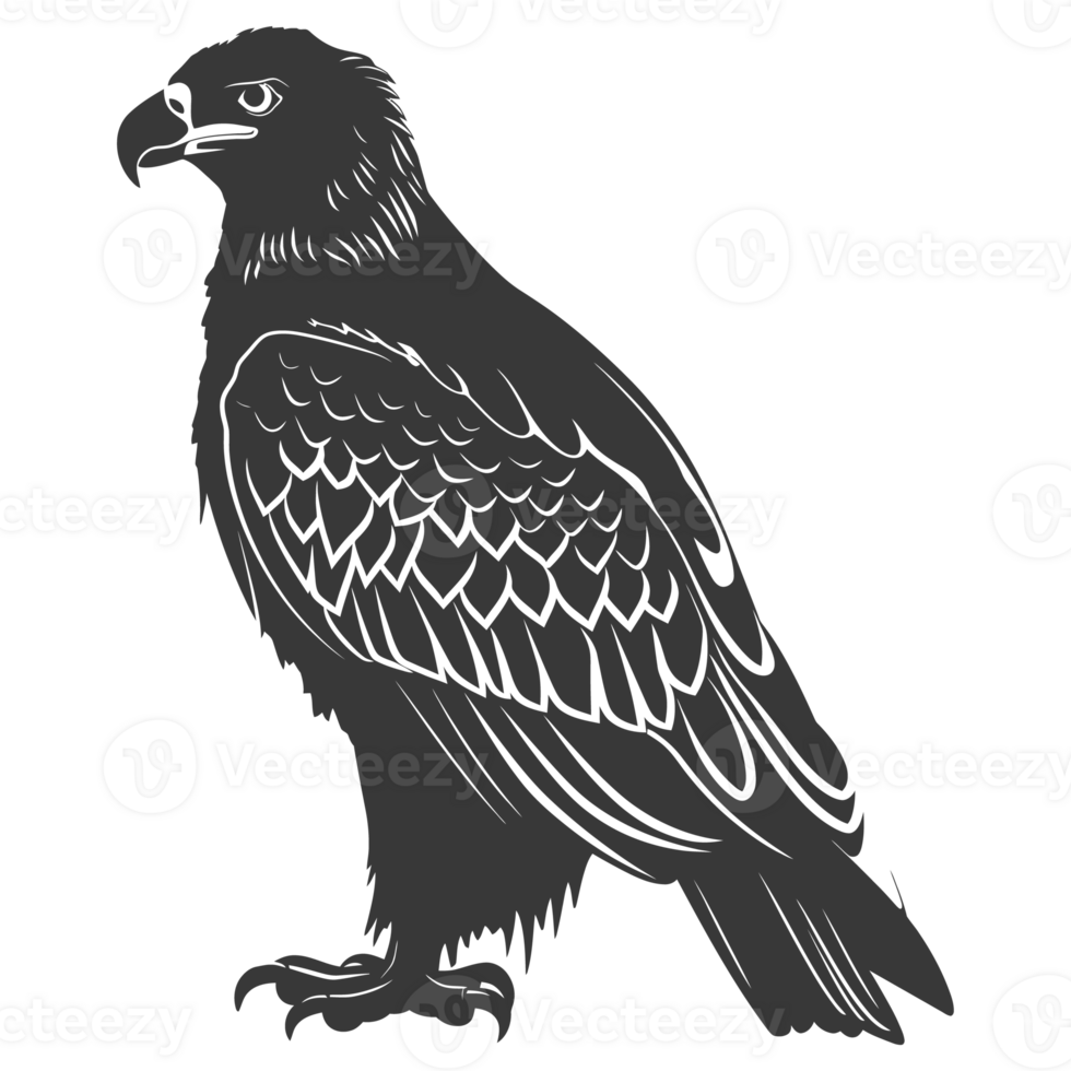 AI generated Silhouette eagle animal black color only full body png