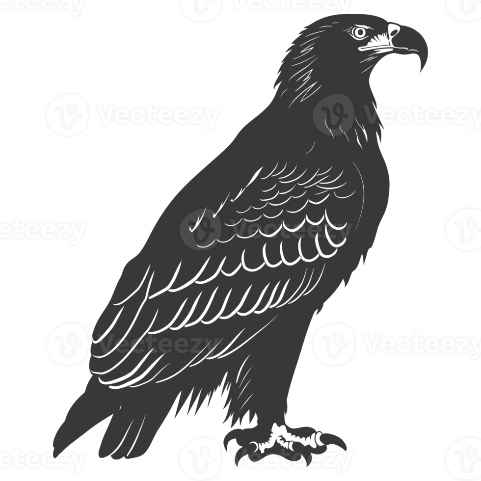 AI generated Silhouette eagle animal black color only full body png