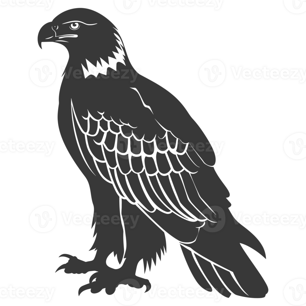 AI generated Silhouette eagle animal black color only full body png
