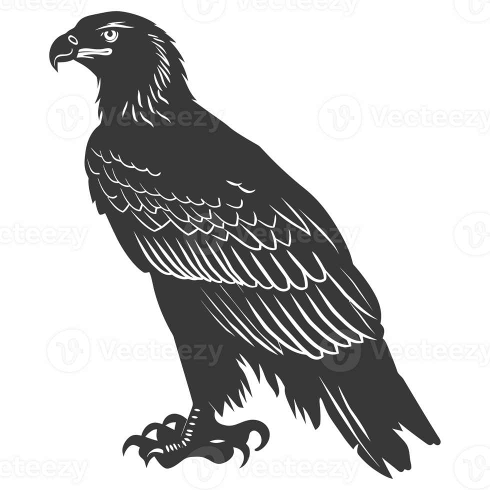AI generated Silhouette eagle animal black color only full body png