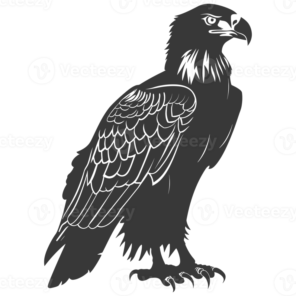 AI generated Silhouette eagle animal black color only full body png